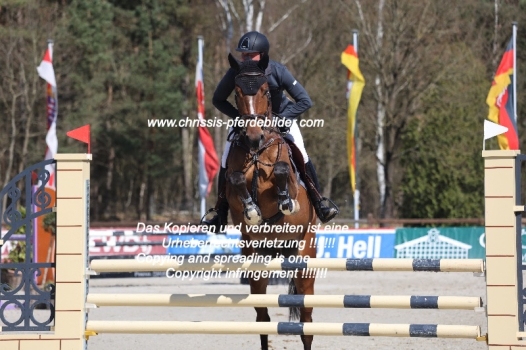 Preview thilo schulz mit brumby sg IMG_0104.jpg